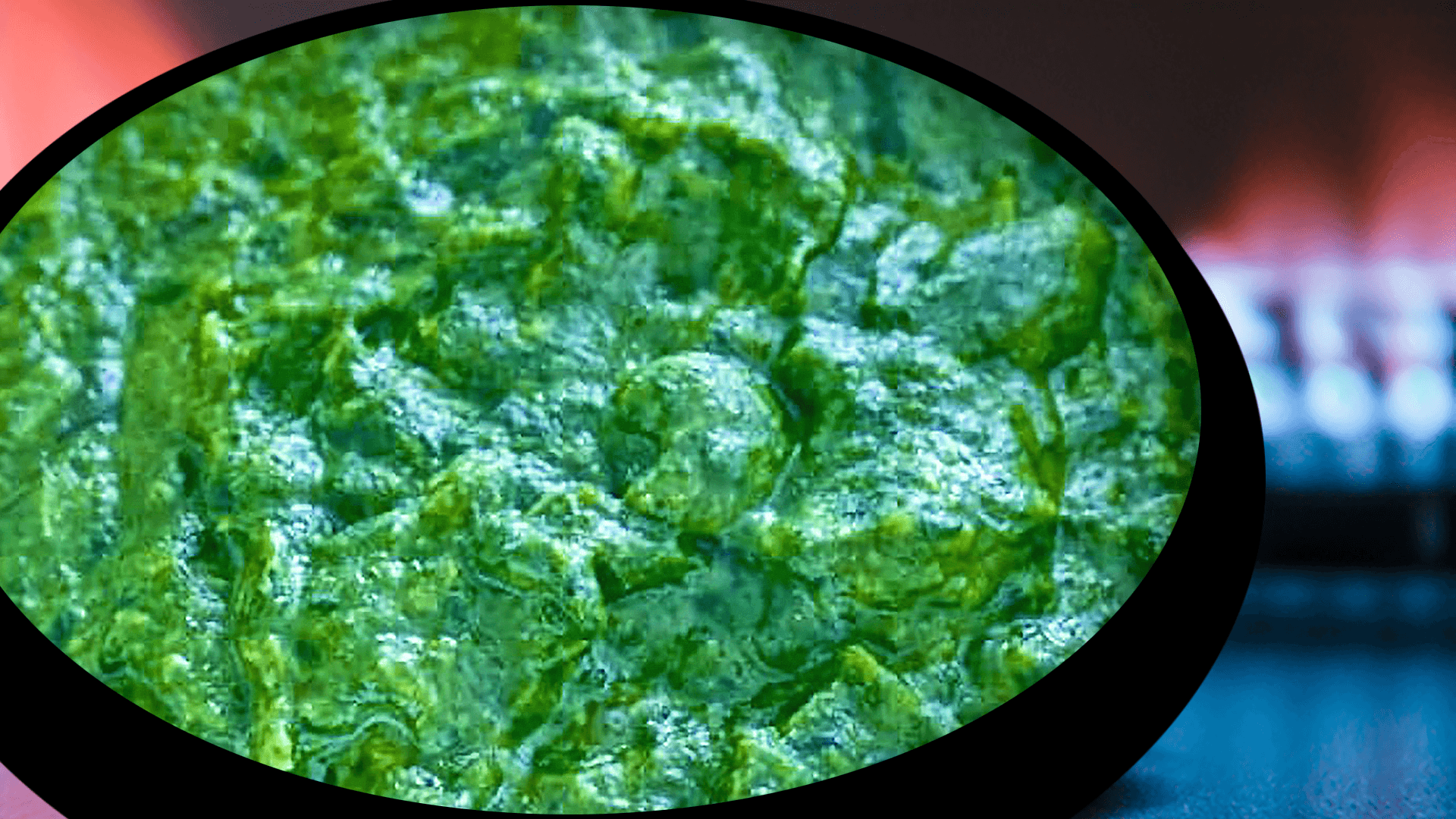 Cooking Creamed Spinach with Milk