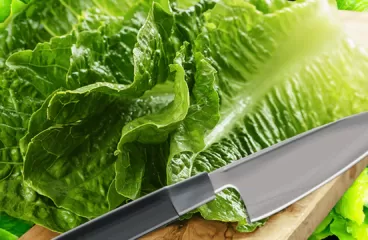 How to Cut Lettuce for Salad and Wraps the Easy Way in 5 Minutes?<span class="rmp-archive-results-widget "><i class=" rmp-icon rmp-icon--ratings rmp-icon--star rmp-icon--full-highlight"></i><i class=" rmp-icon rmp-icon--ratings rmp-icon--star rmp-icon--full-highlight"></i><i class=" rmp-icon rmp-icon--ratings rmp-icon--star rmp-icon--full-highlight"></i><i class=" rmp-icon rmp-icon--ratings rmp-icon--star rmp-icon--half-highlight js-rmp-replace-half-star"></i><i class=" rmp-icon rmp-icon--ratings rmp-icon--star "></i> <span>3.7 (10)</span></span>