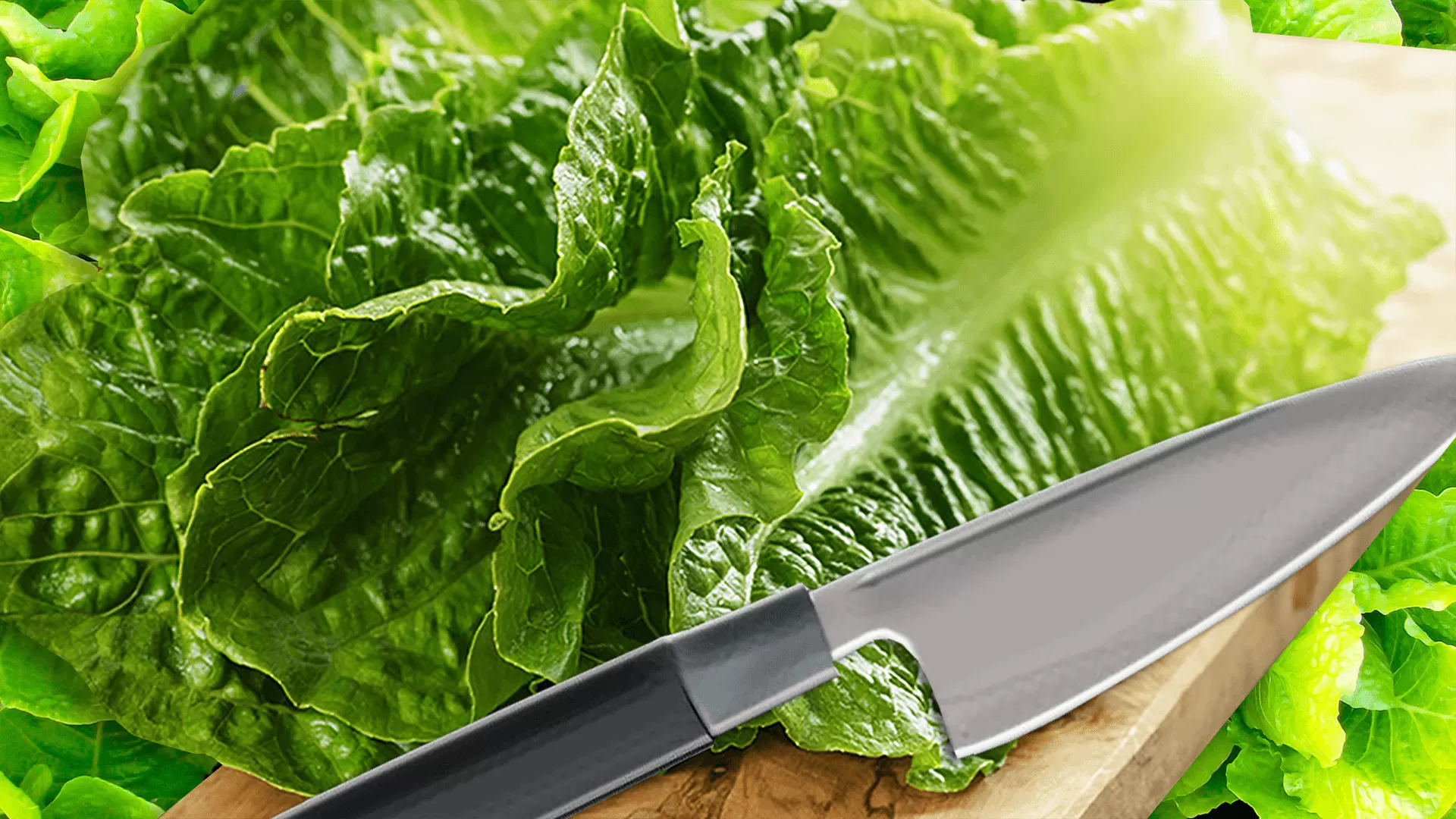 How to Cut Lettuce for Salad and Wraps with the Knife