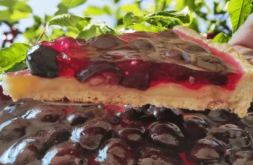 French Cherry Tart Recipe with Black Cherries<span class="rmp-archive-results-widget "><i class=" rmp-icon rmp-icon--ratings rmp-icon--star rmp-icon--full-highlight"></i><i class=" rmp-icon rmp-icon--ratings rmp-icon--star rmp-icon--full-highlight"></i><i class=" rmp-icon rmp-icon--ratings rmp-icon--star rmp-icon--full-highlight"></i><i class=" rmp-icon rmp-icon--ratings rmp-icon--star rmp-icon--full-highlight"></i><i class=" rmp-icon rmp-icon--ratings rmp-icon--star rmp-icon--full-highlight"></i> <span>4.8 (5)</span></span>